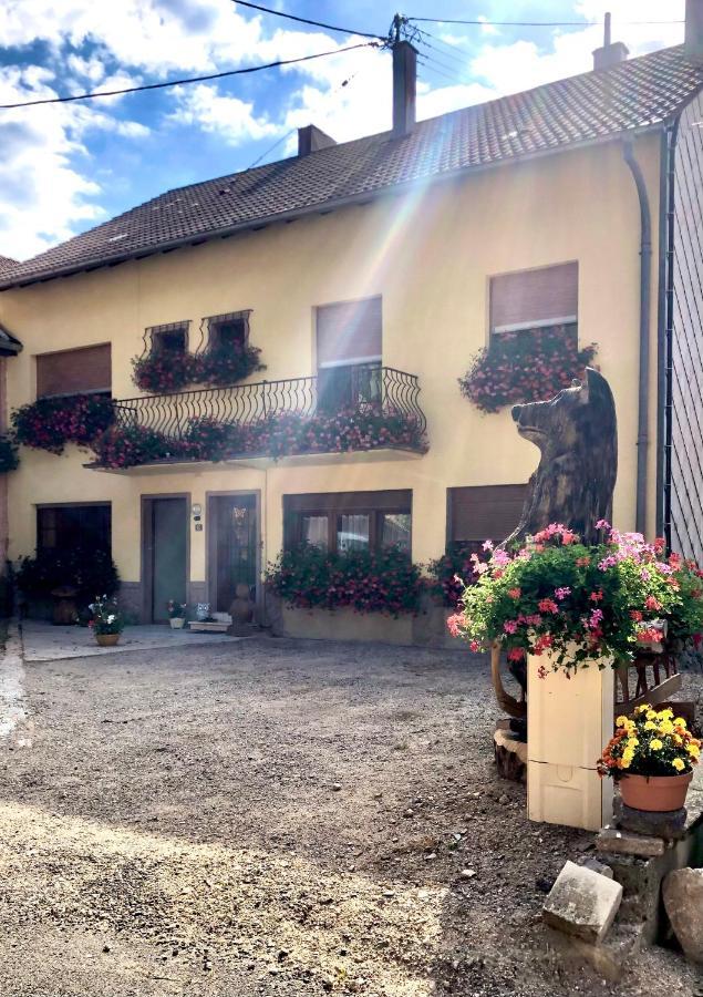 Gite De Montagne Au Pied Du Champ Du Feu ベルモン エクステリア 写真