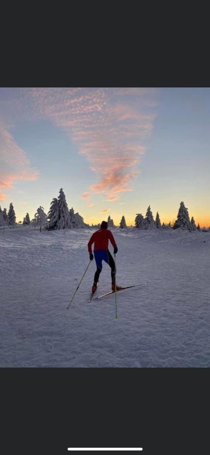 Gite De Montagne Au Pied Du Champ Du Feu ベルモン エクステリア 写真